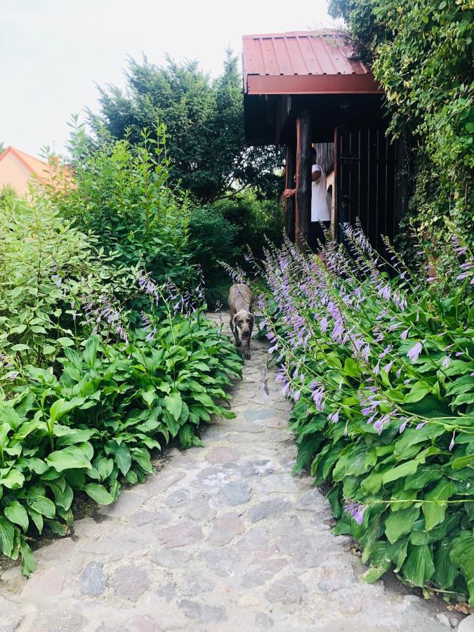 Spokojny Zaulek Ulinia Bagian luar foto
